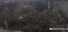 超強臺風災害后垃圾處理，援助第1站：惠州